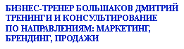 Большаков Дмитрий. Тренинги по маркетингу и брендингу